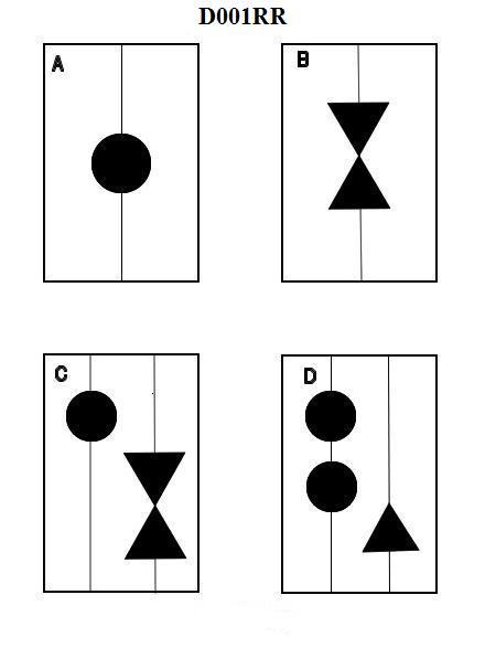 USCG Exam Illustration D001RR