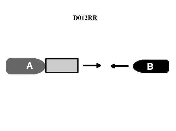 USCG Exam Illustration D012RR