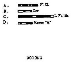 USCG Exam Illustration D019NG