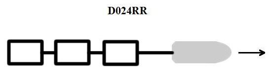 USCG Exam Illustration D024RR