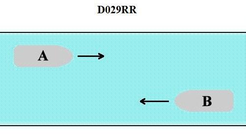 USCG Exam Illustration D029RR