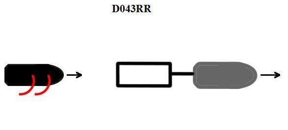 USCG Exam Illustration D043RR