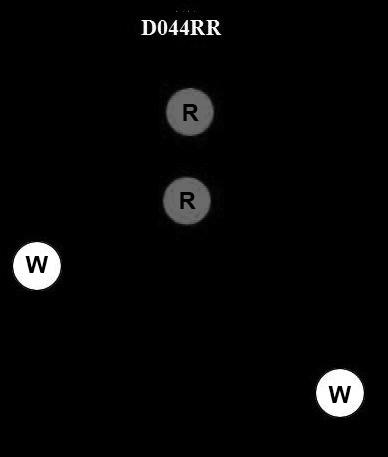USCG Exam Illustration D044RR