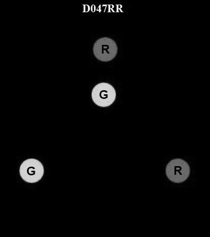 USCG Exam Illustration D047RR
