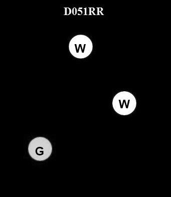 USCG Exam Illustration D051RR