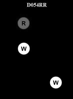 USCG Exam Illustration D054RR