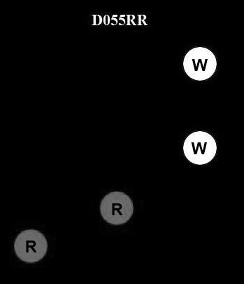 USCG Exam Illustration D055RR
