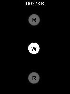 USCG Exam Illustration D057RR