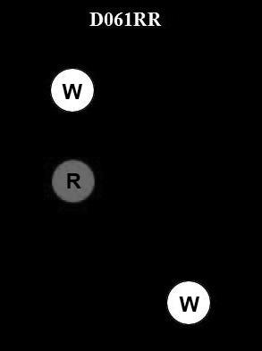 USCG Exam Illustration D061RR