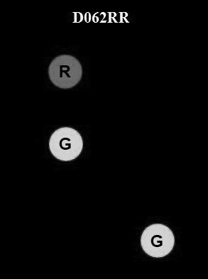 USCG Exam Illustration D062RR