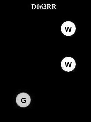 USCG Exam Illustration D063RR