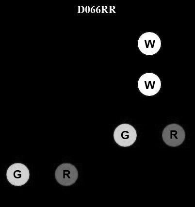 USCG Exam Illustration D066RR