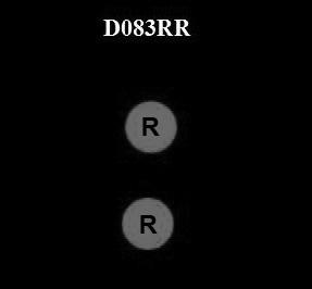 USCG Exam Illustration D083RR