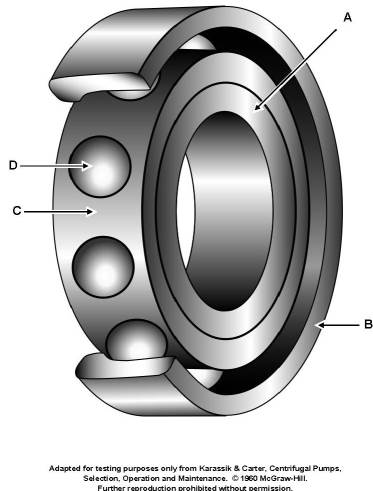 USCG Exam Illustration MO-0001