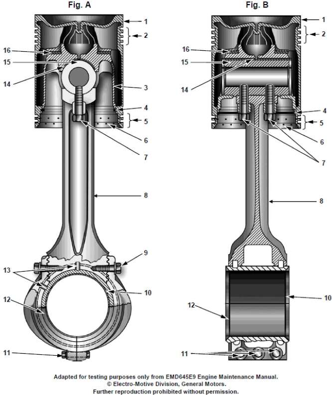 USCG Exam Illustration MO-0011