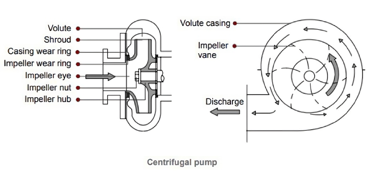 Centrifugal Pump: The Important point you must Know